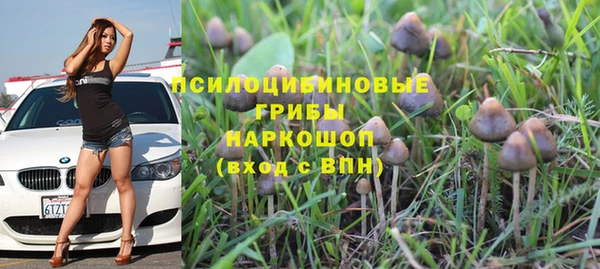 прущие грибы Карталы