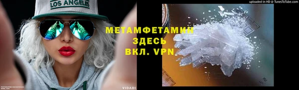 прущие грибы Карталы