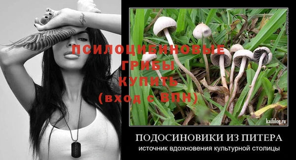 прущие грибы Карталы