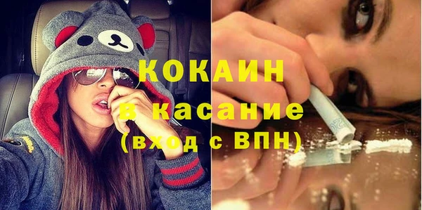 прущие грибы Карталы