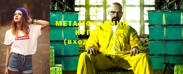 прущие грибы Карталы