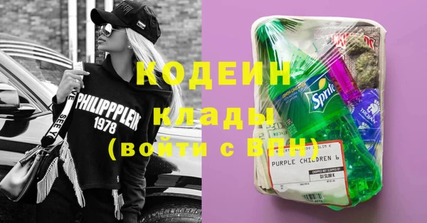 дживик Карпинск