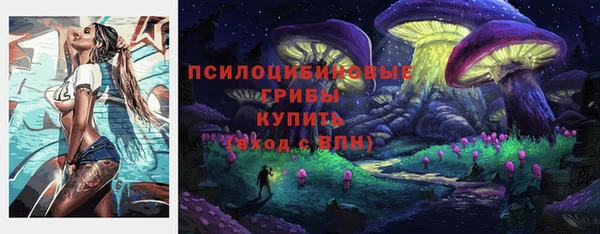 прущие грибы Карталы