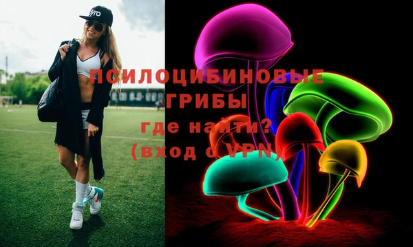 дживик Карпинск
