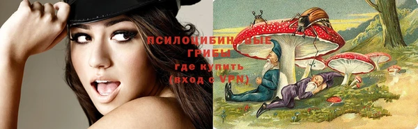 бошки Касимов