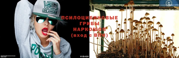 дживик Карпинск