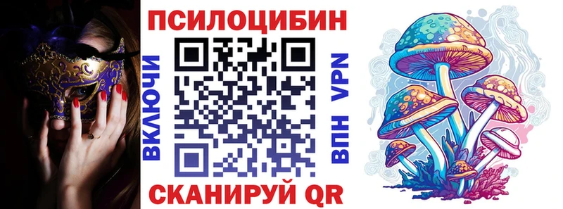 Псилоцибиновые грибы Cubensis  Купить закладки  Тулун 